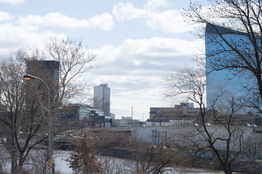 Schuylkill